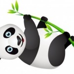 Follow these Tips and Make your Site Panda-Proof