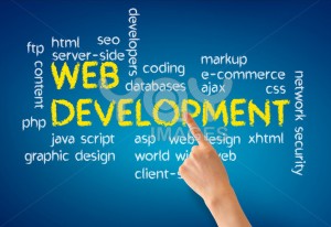 Website development