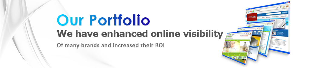 Our Portfolio