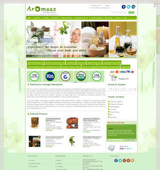 Ecommerce Website Solutions